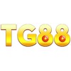 TG88 tg88supply