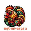 tructiepdagac1net 