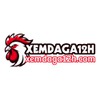 Xem Đá Gà 12H - Xem Đá Gà Trực Tiếp Thomo Campuchia