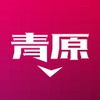 清源 魏