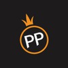 pp 电子