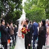 Wedding photographyN