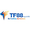 TF88 