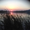 Sherry Sun