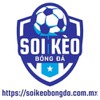 soi kèo bóng đá