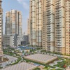 Prestige Evergreen