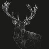Marius Seack