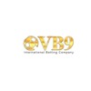VB9 