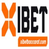 Xibet 