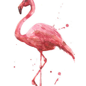 Designspiration profile picture for @lola