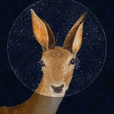 Designspiration profile picture for @ache