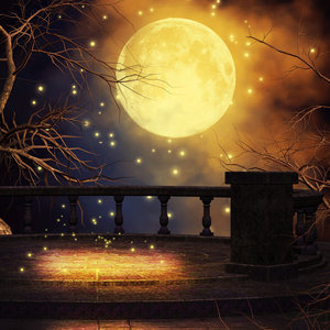 Designspiration profile picture for @nightmare
