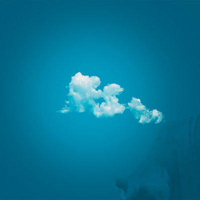 Designspiration profile picture for @shawn