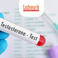 Designspiration profile picture for @testosterone