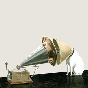 Designspiration profile picture for @nico