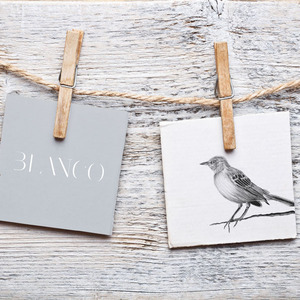 Designspiration profile picture for @blanco