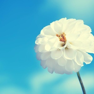 Designspiration profile picture for @don