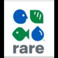 Designspiration profile picture for @rare