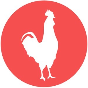 Designspiration profile picture for @rooster