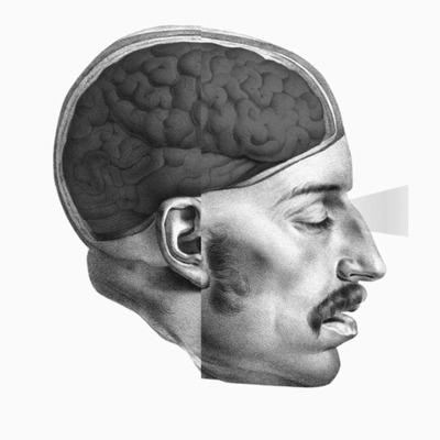 Designspiration profile picture for @digg