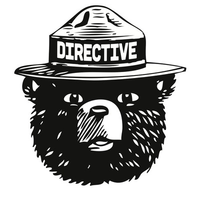 Designspiration profile picture for @directive