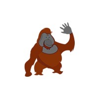 Designspiration profile picture for @otc