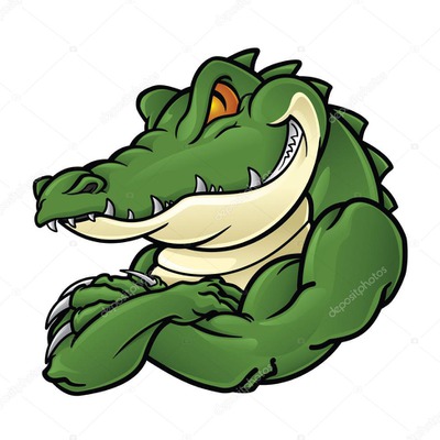 Designspiration profile picture for @croc