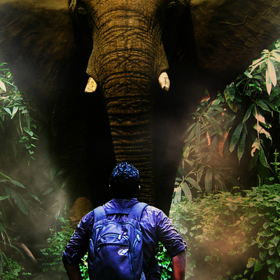 Designspiration profile picture for @fanatic