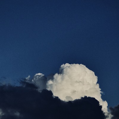 Designspiration profile picture for @settle