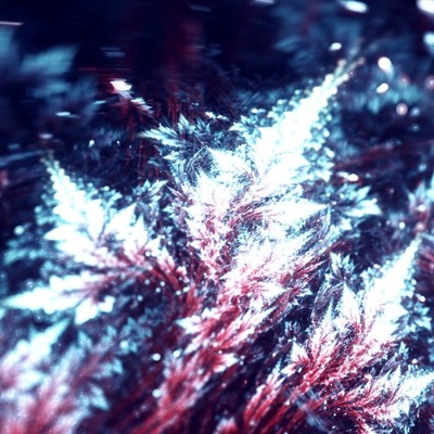 Designspiration profile picture for @merlin