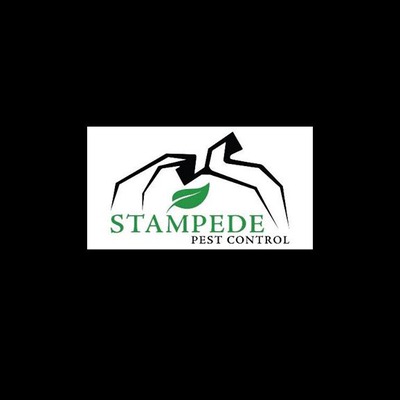 Designspiration profile picture for @stampede