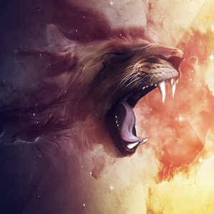 Designspiration profile picture for @bleep