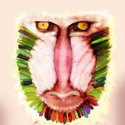 Designspiration profile picture for @santa