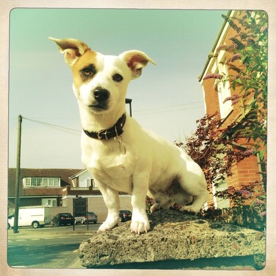 Designspiration profile picture for @kirk