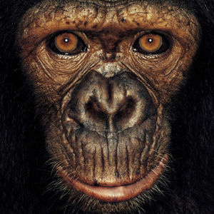 Designspiration profile picture for @minnie