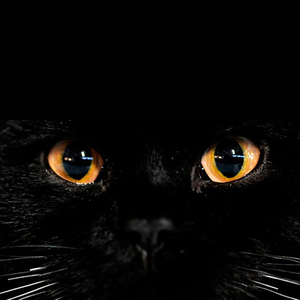 Designspiration profile picture for @jas