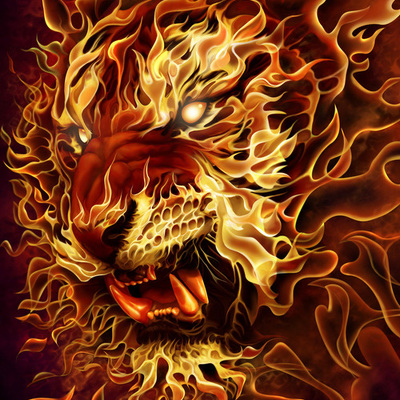 Designspiration profile picture for @kun