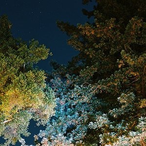Designspiration profile picture for @blithely