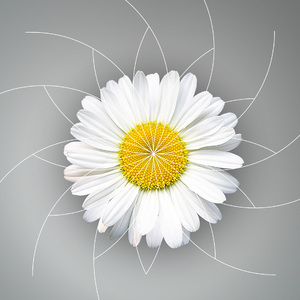 Designspiration profile picture for @ita