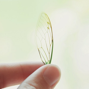 Designspiration profile picture for @ming