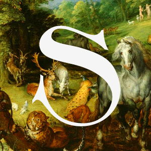 Designspiration profile picture for @stuff