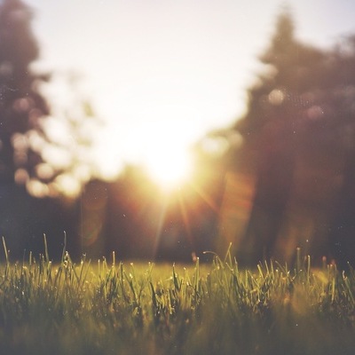 Designspiration profile picture for @and