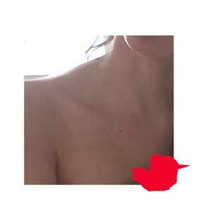 Designspiration profile picture for @carrot