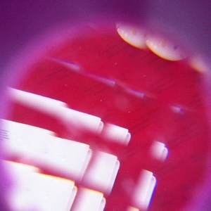 Designspiration profile picture for @sioux