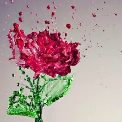 Designspiration profile picture for @goldfish