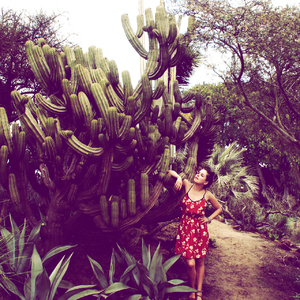 Designspiration profile picture for @calico