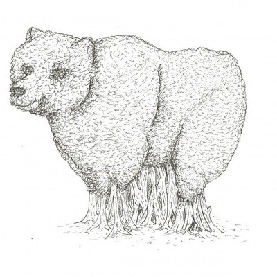 Designspiration profile picture for @shelton