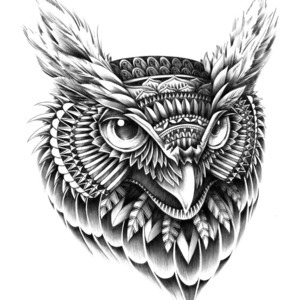 Designspiration profile picture for @amaze