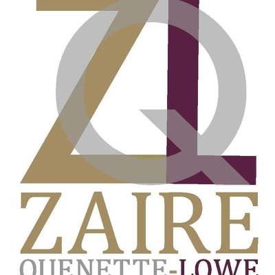 Designspiration profile picture for @zaire
