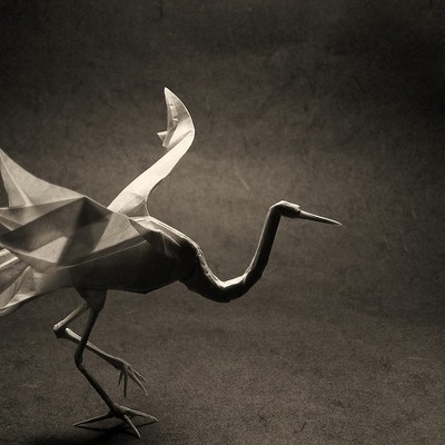 Designspiration profile picture for @bliss